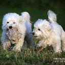 ���� ������, ������������ - ��������� 24 �������� 2020 � ������ ���� � ���