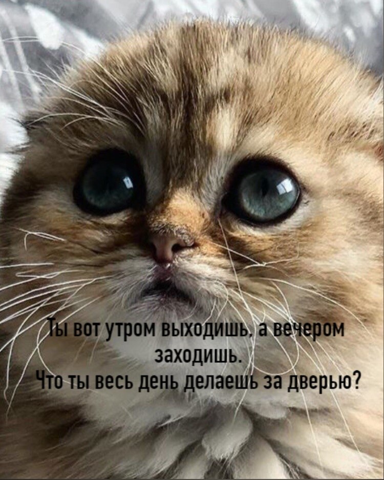       - 22  2020  18:42 - 2