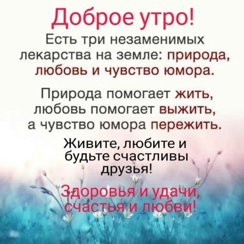   ! - 6  2021  11:01