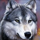 ���� �@�@�@ �������� �������., ���������, 65 ��� - ��������� 21 ������ 2020 � ������ ���� ����������