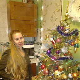 �����, ��������, 56 ���