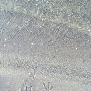 ���� ������, ����������-���������, 40 ��� - ��������� 6 �������� 2020 � ������ ������ ��������