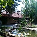 ���� �����, ������������, 64 ���� - ��������� 16 ������� 2020 � ������ ���� ����������