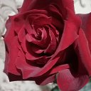 ���� �����, ��������� - ��������� 24 ������ 2020 � ������ ���� ����������