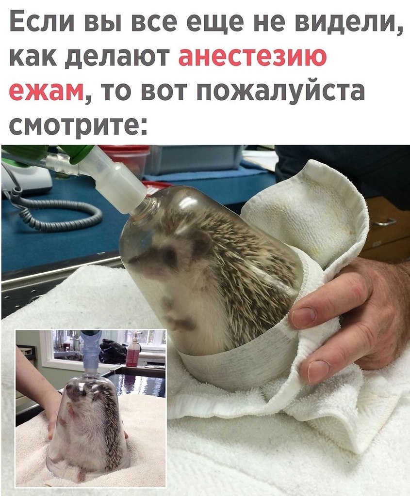    - 1  2021  17:02