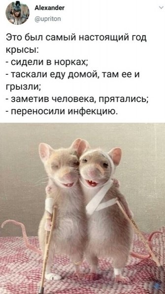 oд Крыcы пo китaйcкoму кaлeндаpю заканчивaeтcя 11 февpaля 2021 гoда... Москва: Инструкция по ...