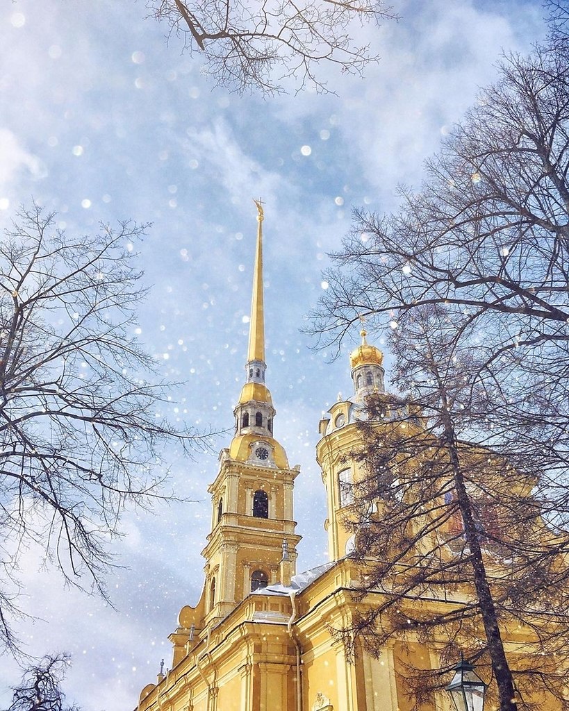      .: ekaterinafedyuk