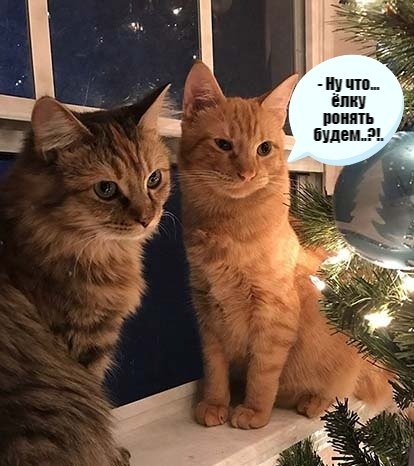 ��� ���� � ����� �� �� - 22 ������� 2020 � 14:10