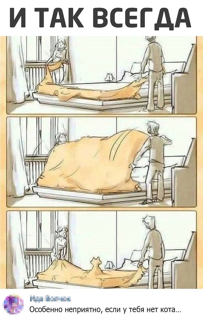   !)