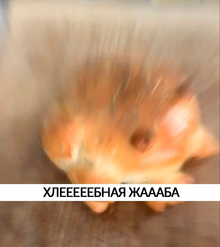  -   ,  ) - 2