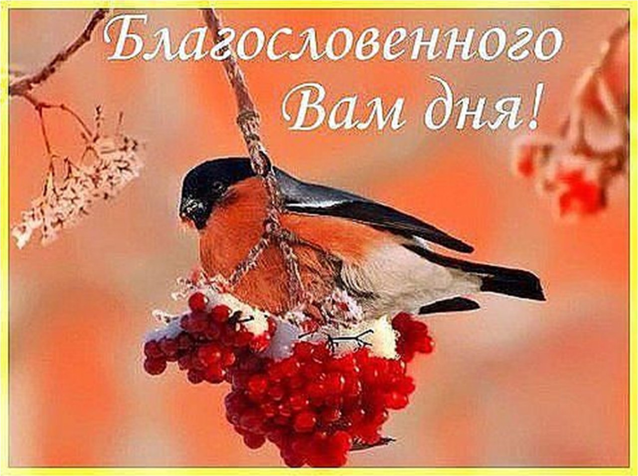   ,    . - 19  2020  22:58 - 10