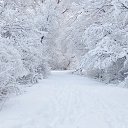   ,  -  24  2020    
