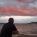  Liviu, , 37  -  28  2020