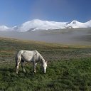  , -, 64  -  16  2020    