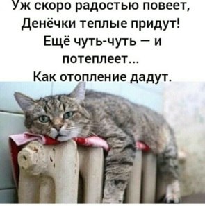   ! - 19  2021  12:18