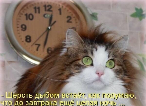    - 6  2020  19:10