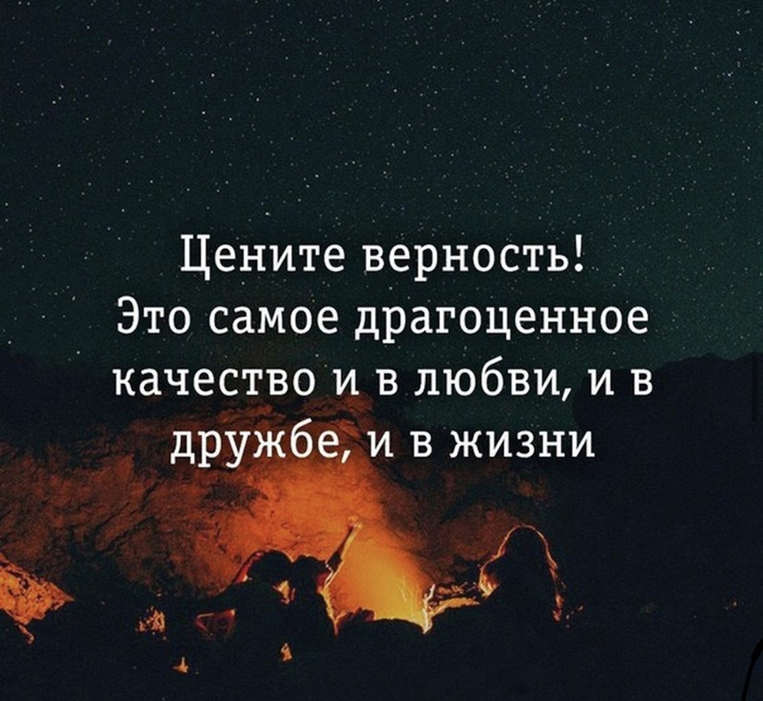 Ветер жизни иногда свиреп. В целом жизнь, однако, хороша. И ... | Омар  Хайям и другие великие философы | Фотострана | Пост №2218128806