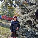 ���� ������, ���������, 72 ���� - ��������� 3 ������ 2020 � ������ ���� ����������