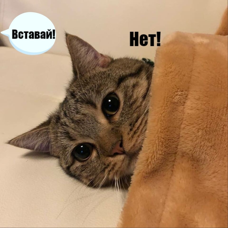     : - 2