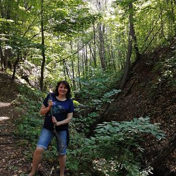 �������, ��������, 56 ���