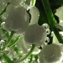 ���� ������, ������������ - ��������� 24 �������� 2020 � ������ ��������