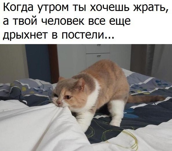    - 26  2020  20:45