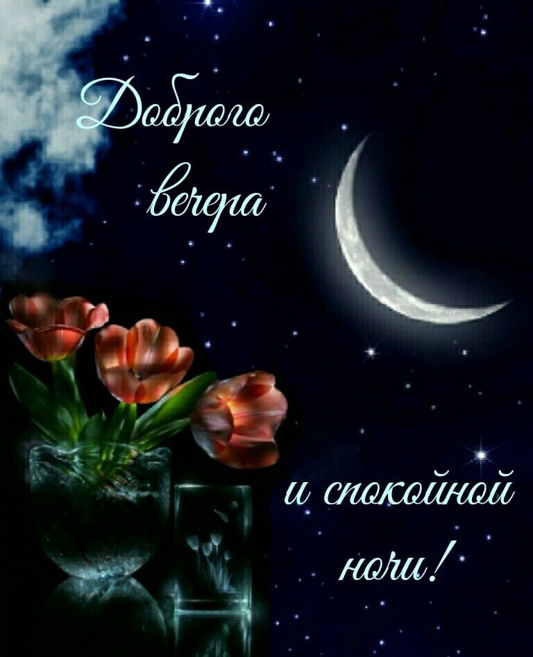   ,    . - 26  2020  21:59 - 9