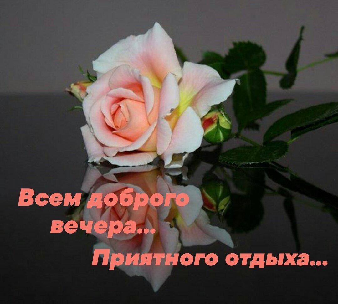   ,    . - 1  2021  19:01