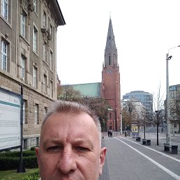 , 51, 