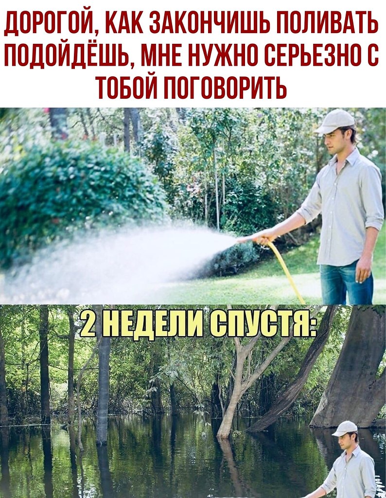  - 8  2020  19:29