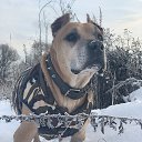 ���� �����, ������, 61 ��� - ��������� 2 ������� 2021 � ������ ���� ����������