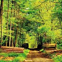 ���� Cems, ��������, 43 ���� - ��������� 22 ����� 2021 � ������ ���� ����������