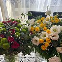  Halina, , 55  -  19  2020    