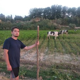 ����, �������, 30 ���