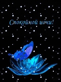   ,    . - 22  2020  23:03 - 5
