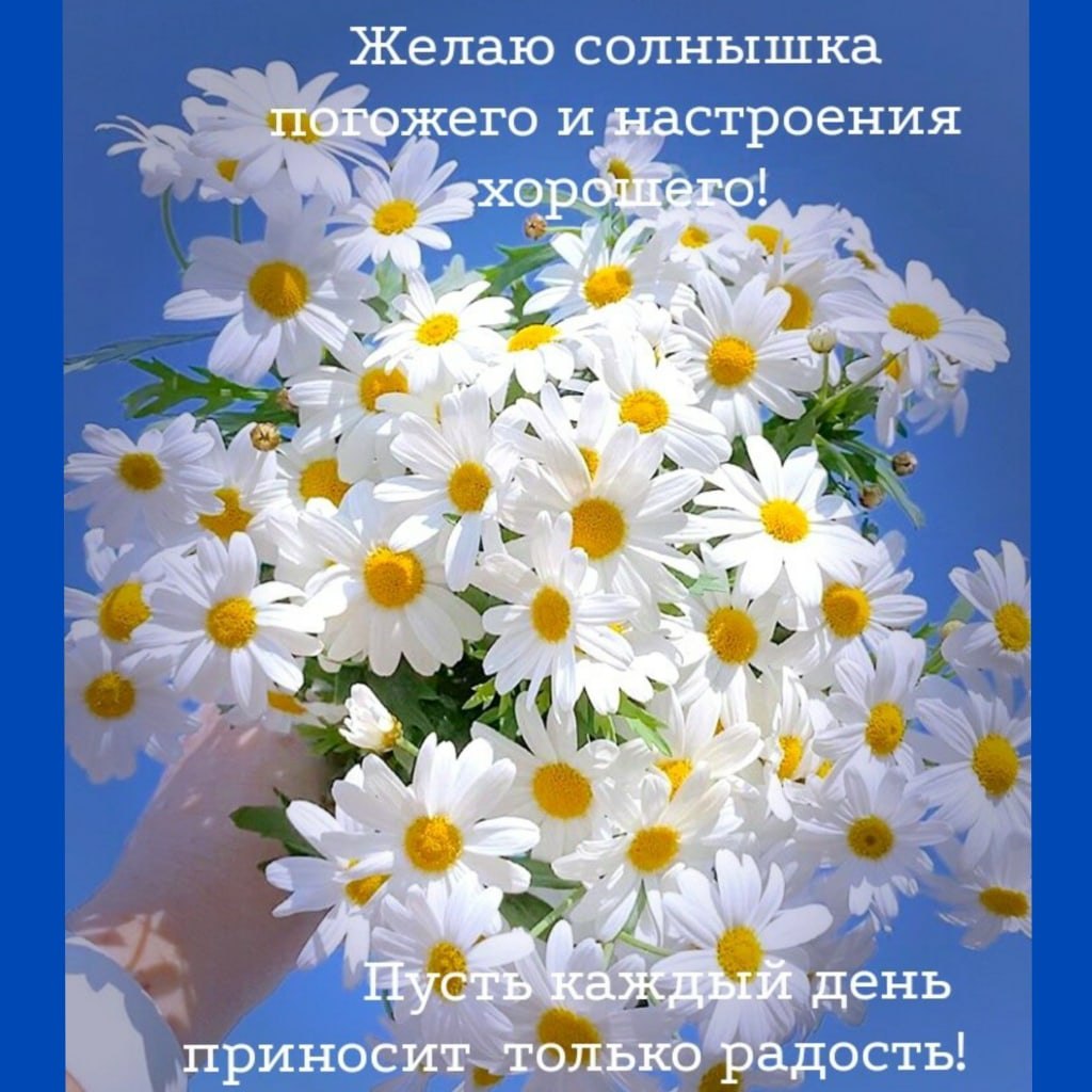 Картинки с днем рождения ромашки для наташки