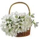 ���� �����, ������, 37 ��� - ��������� 8 ����� 2021 � ������ ������ ��������