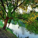 ���� �����, �������, 64 ���� - ��������� 3 �������� 2020 � ������ ������ ��������