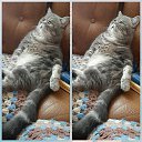 ���� �������, ������, 52 ���� - ��������� 1 ������� 2020 � ������ ���� ����������