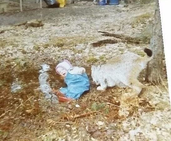 ���� � ������� �� ������ ������� �� ����, �� ��� ��������).������ - 7