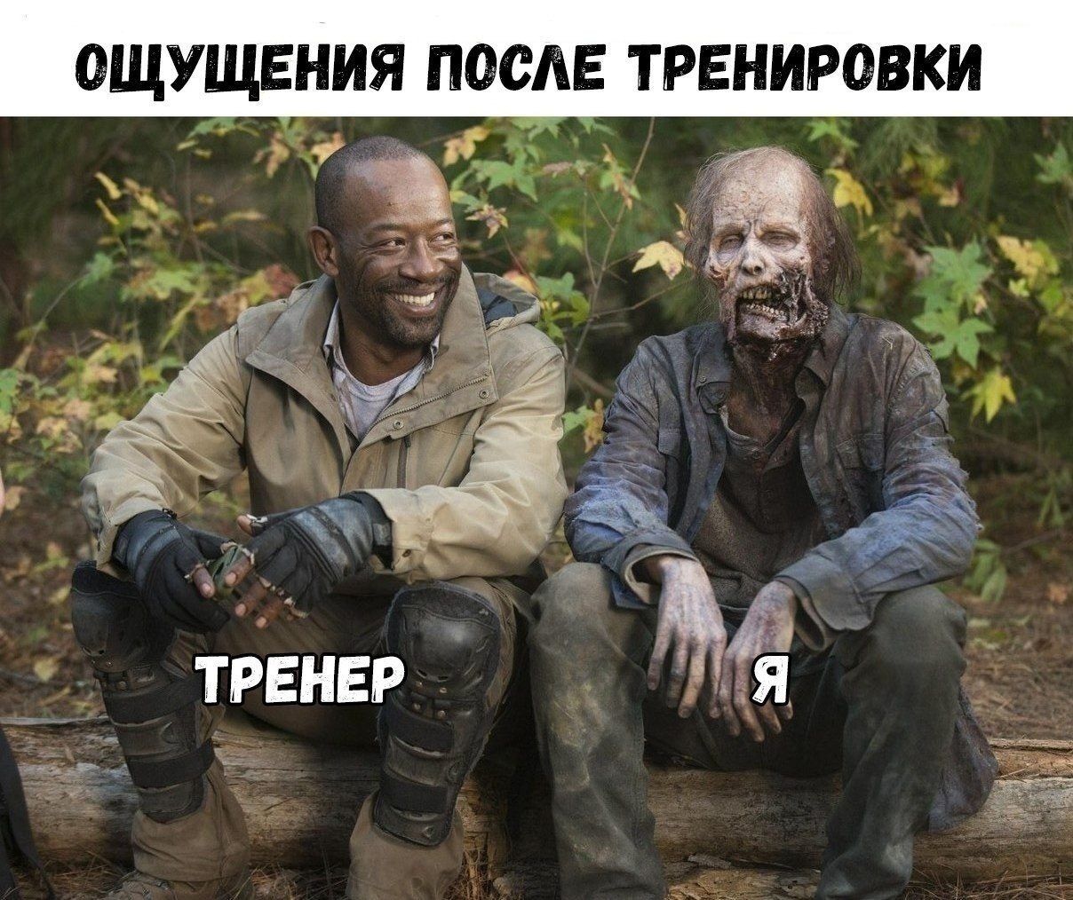    ,  .      ,     ...