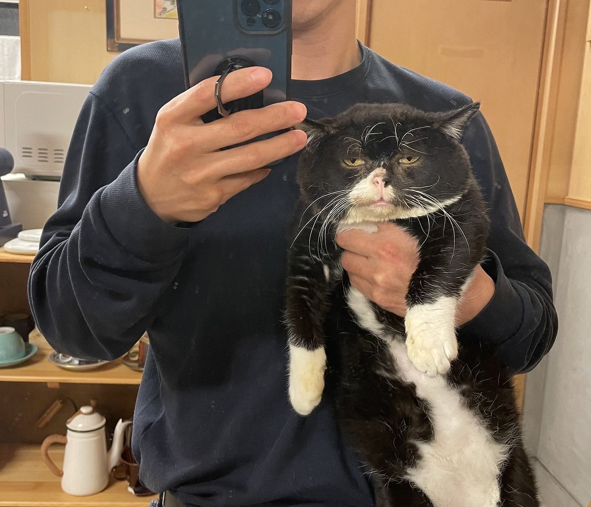 ������ � ����� 2020 ����: