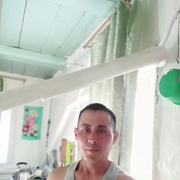 �����, ���, 41 ���