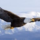 ���� ��������, ������ - ��������� 5 ������� 2020 � ������ ���� ����������