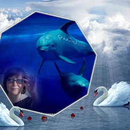 ���� �������, ��������� - ��������� 26 ������� 2020