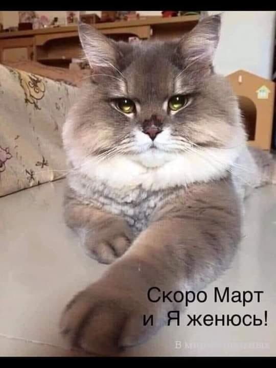 ������ - 25 ������� 2021 � 15:29