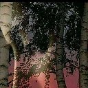 ���� �������, ������, 67 ��� - ��������� 25 ������ 2020 � ������ ������ ��������