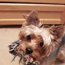 ���� �������, ������ - ��������� 7 ������ 2021 � ������ ���� ����������