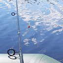 � ��������