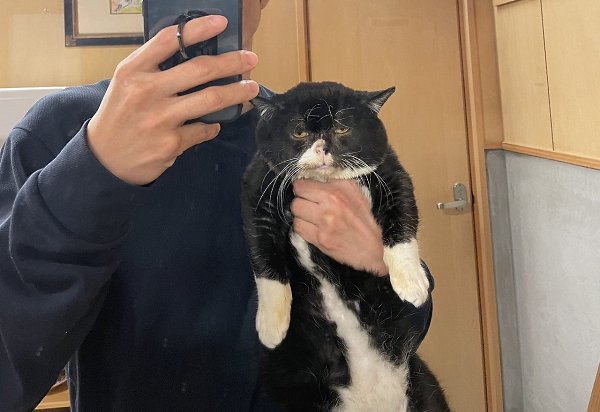 ������ � ����� 2020 ����: - 2